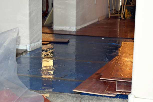 Professional Flood Cleanup technician working in Iola, WI